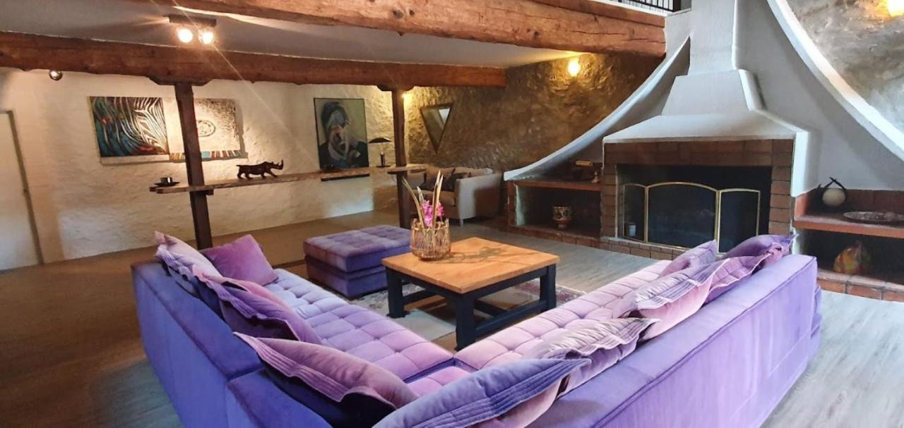 Gite De 420 Metres Carres Dans Chateau L'Ange Au Violon Jusqu'A 13 Couchages Conques-sur-Orbiel ภายนอก รูปภาพ