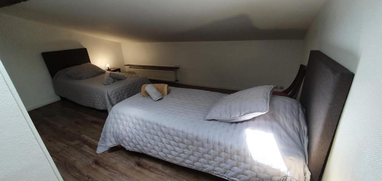 Gite De 420 Metres Carres Dans Chateau L'Ange Au Violon Jusqu'A 13 Couchages Conques-sur-Orbiel ภายนอก รูปภาพ