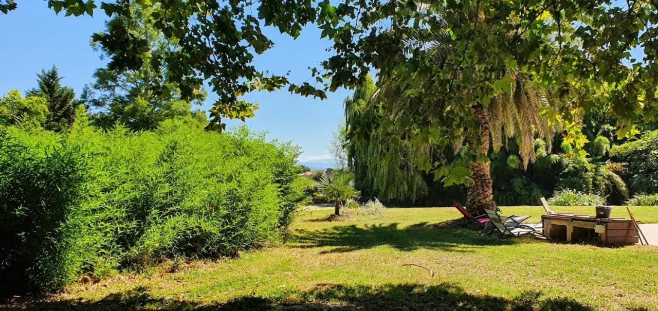 Gite De 420 Metres Carres Dans Chateau L'Ange Au Violon Jusqu'A 13 Couchages Conques-sur-Orbiel ภายนอก รูปภาพ